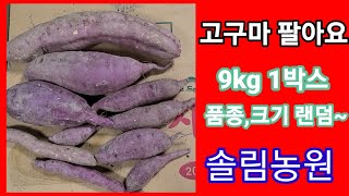 고구마 팔아요 9KG 1박스 크기,품종은  랜덤~ 밤고구마,호박고구마,베니하루카,까 섞임