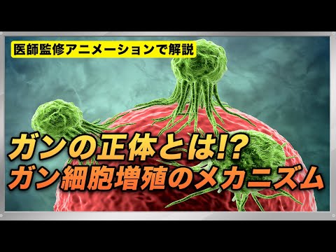 ゴルゴノプシアンについて詳しく解説