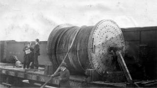 The Mile-Long Cables That Made 50-Ton Trees Fly