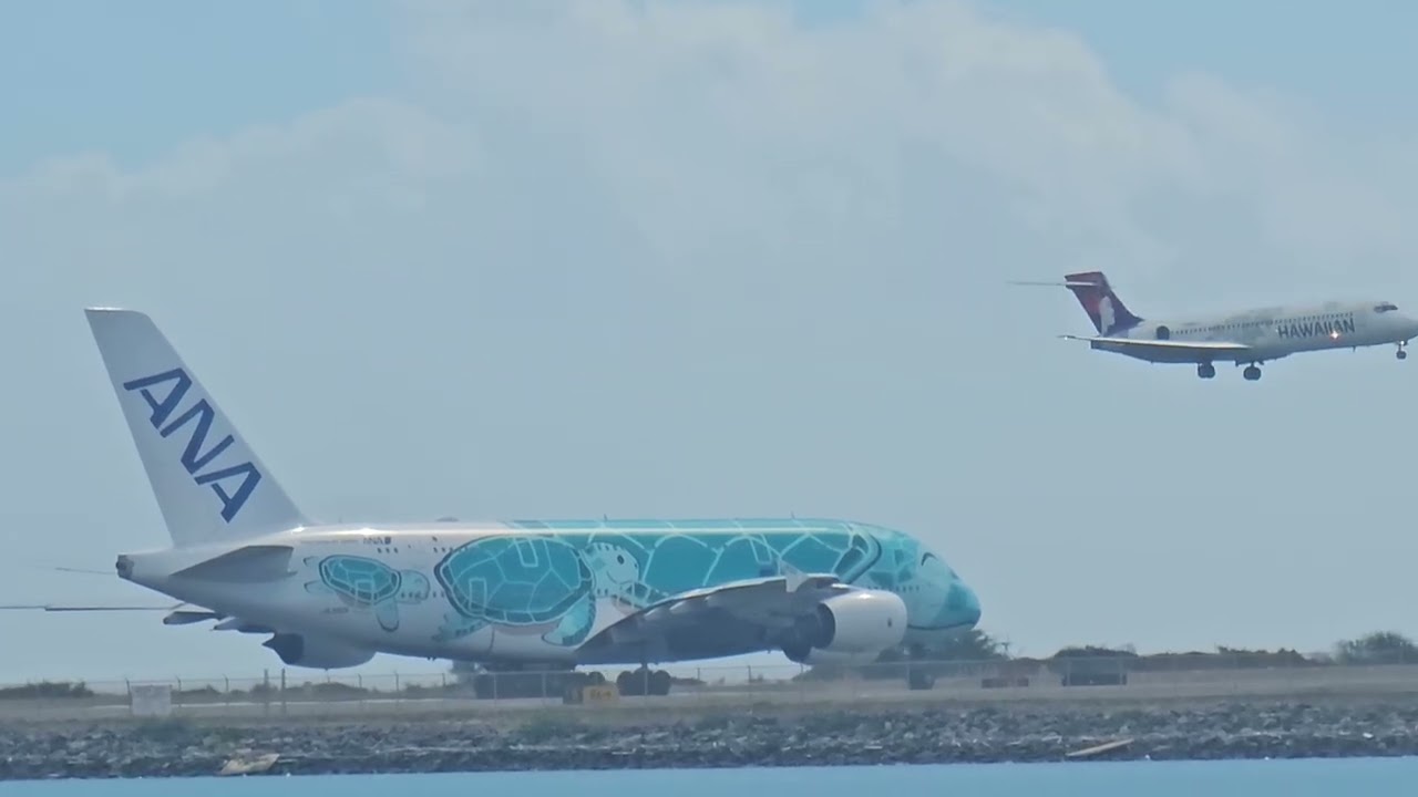 ANA Taking Off @ HNL...#Aviation #Commercial #Plane