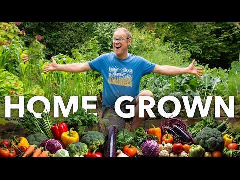 Tiny Yard Container Garden How to Grow 1 000 of Food