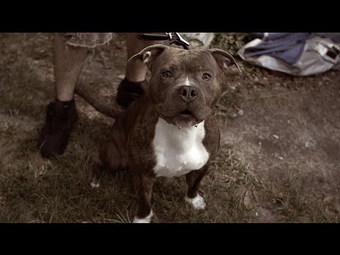 Scotty Cain & Byrd - In My Section