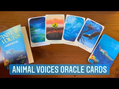 Animal Voices Oracle Cards | Full Flip Through