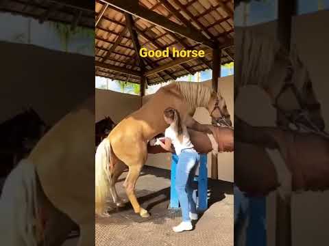 âž¤ Real Horse Cum â¤ï¸ Video.Kingxxx.Pro