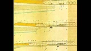 Shannon Wright - Dirty Facade