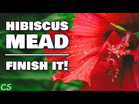 Hibiscus Mead - Part Two, Finish and Bottle!