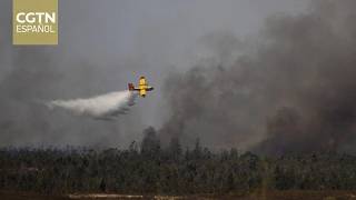 Los madrileños rescatan animales de las llamas durante los incendios forestales que asolan el país
