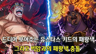 [원피스 1024화 심층분석]드디어 보여주는 키드의 패왕색 그리고 빅맘과의 패왕색 충돌