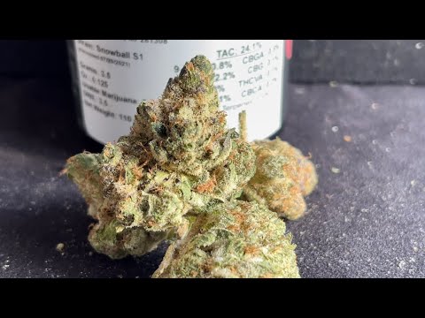 Snowball Leafly