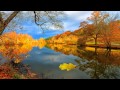 ОСЕННИЙ ЛИСТ Исполнитель Светлана Копылова 