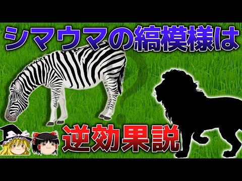 エクウスゼブラ