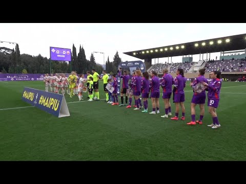bg-highlight