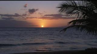 Rue du Soleil   Troya Cafe del Mar