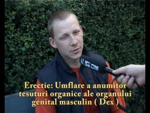 Nord vestival - Intrebarea de baraj 2 - Nivelul Erectiei