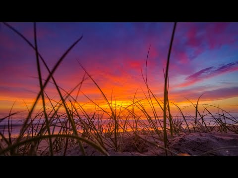 Beautiful Relaxing Music, Sleeping Music, Meditation Music, Calm Music - River Of Love