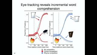 Eye movements reveal real-time noisy-channel inference in spoken word… | Rachel Ryskin (HSP 2026)