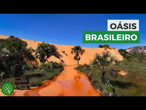 JALAPÃO: Um Brasil que você precisa conhecer!