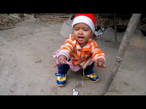 Best Friends Cat 🐈|Manasi Playing With Cat