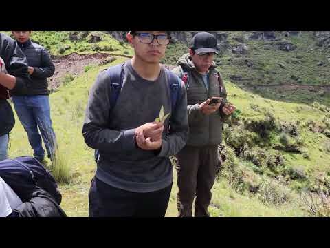 Waqrapukara - Investigación y Turismo - Universidad Andina Cusco - Acomayo 2024