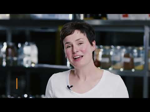 January: 3 Vegetarian Recipes with Storage Vegetables