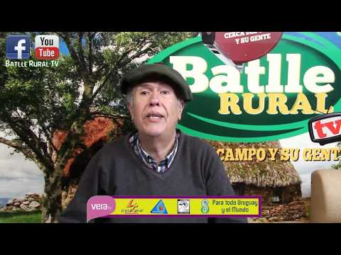 Programa 211 - Hipismo al Día/Batlle Rural Tv