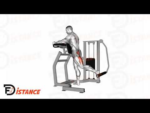 Exercice Presse à fessiers