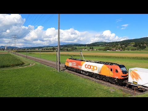 Zugverkehr im Aaretal, SBB, BLS, DB und Coopzug bei Kiesen am 5. September 2025