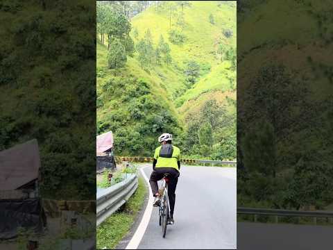 Nainital Mountains ✨🌻 #shorts #shortsfeed #viral