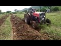 දෙළුම් වගා Red Angel Pomegranate Cultivation Bed Prep 02