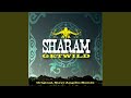Get Wild (Album Mix)