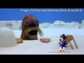 TVChannels98 The Best Of Pingu S TV Channels