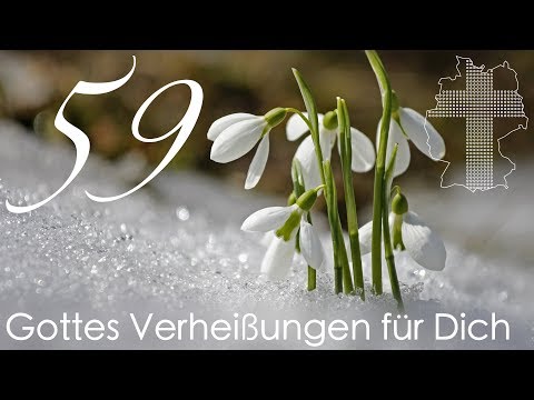 Gottes Verheißungen für Dich - Psalm 23,2 | Videokalender 59/365 - Deutschland braucht JESUS