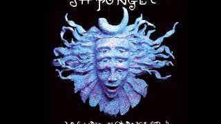 Nine Inch Nails - Down In It (Shpongle Mix)