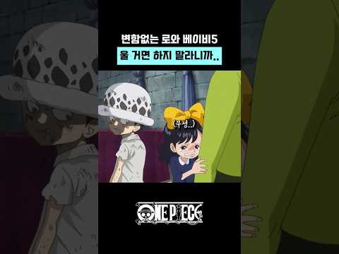 변함없는 로와 베이비5 #701화 #로우 #베이비5 #원피스 #onepiece