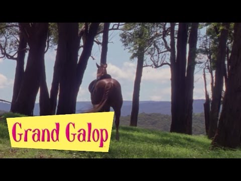 Grand Galop 117 - Le Cavalier sans tête | HD | Épisode Complet