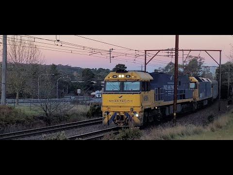 NR86 Leading the Indian Pacific through Leura, NSW