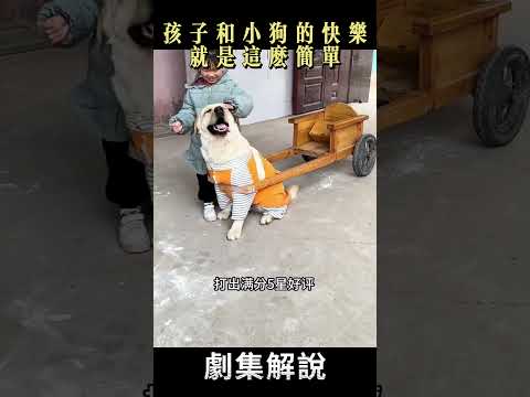 孩子和小狗的快樂就是這麼簡單