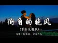 励志豪、神勇尼尼 - 街角的晚风（节奏氛围版）『街角的晚风吹散的霓虹 为何 消散在茫茫人海中。』『动态歌词MV』#新歌更新 #必听热门歌曲