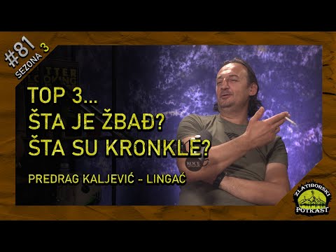 Predrag Kaljević Lingać V3.0 - Zlatiborski Podcast Ep.81