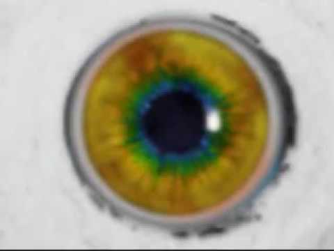 vfGUF8T-dUM Video Thumb