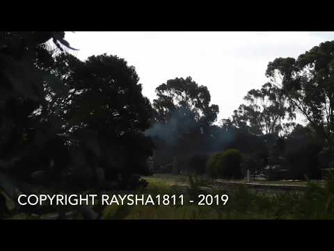 The Q Train (Heritage) Drysdale - Australian Trains by RaySha1811