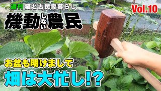 連休明けで色々やりすぎ1週間っ！