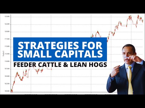 Strategies For Small Capitals: Feeder Cattle and Lean Hogs (Trend Following with Performance)