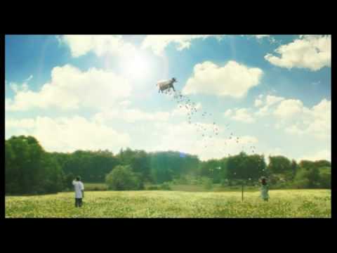 Divokej Bill - Váha muší