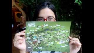 I love you then - 33 Miles