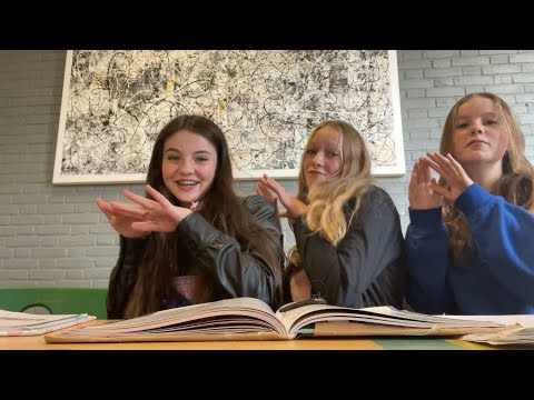 TIKTOK'S MAKEN IN DE KLAS & CONCIERGE IS BOOS - Bibi