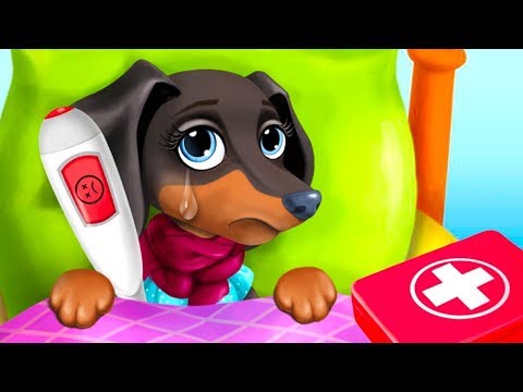 Farm Animal Hospital 3 - Fun Pet Care & Makeover Games - Take Care Of  Pet Vet Clinic Gameplay