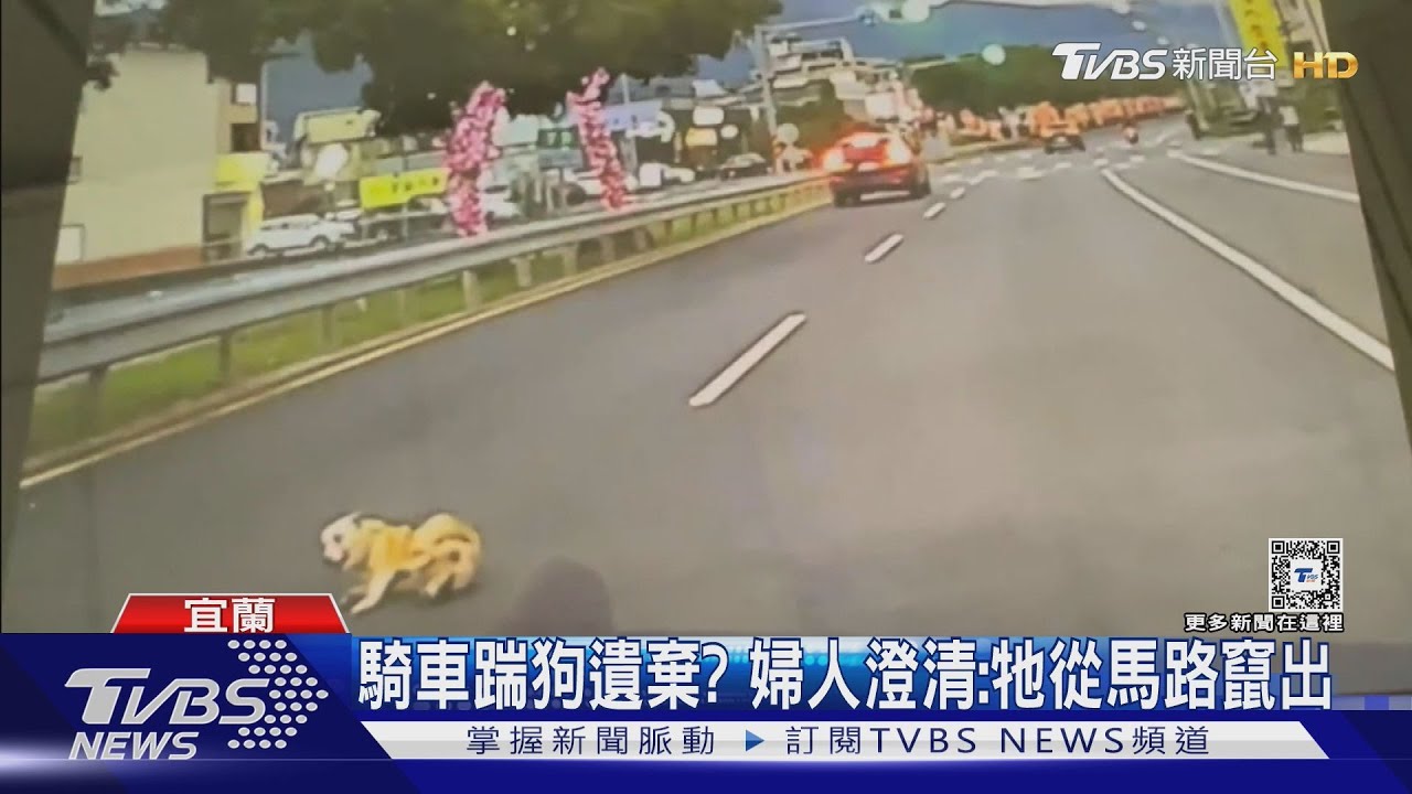 騎車踹狗遺棄? 婦人澄清:牠從馬路竄出