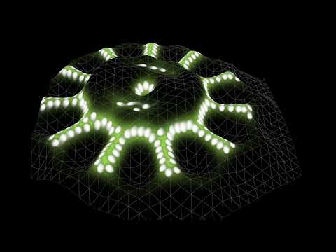 Particle Lenia in perspective