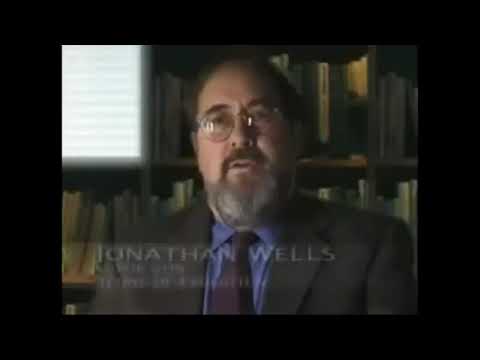 Wissenschaftliche Erkenntnisse zum Thema Darwin und Evolution